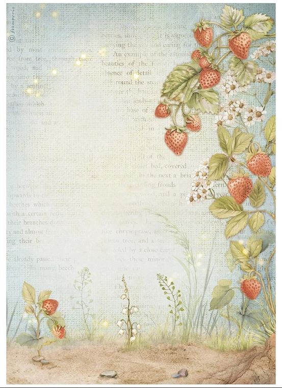 Stamperia Rice Papier Hidden Grove - Strawberries A4 1 Bogen Stamperia Rice Papier Hidden Grove - Strawberries A4 1 Bogen