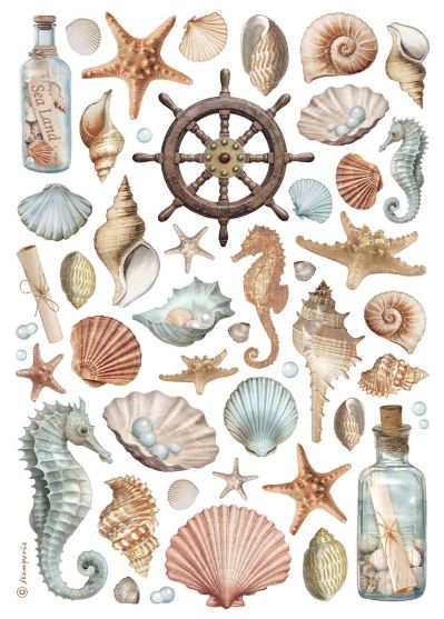 Stamperia Rice Papier Shells A4 1 Bogen