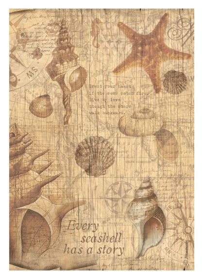 Stamperia Rice Papier Sea Land - Shells A4 1 Bogen Stamperia Rice Papier Sea Land - Shells A4 1 Bogen